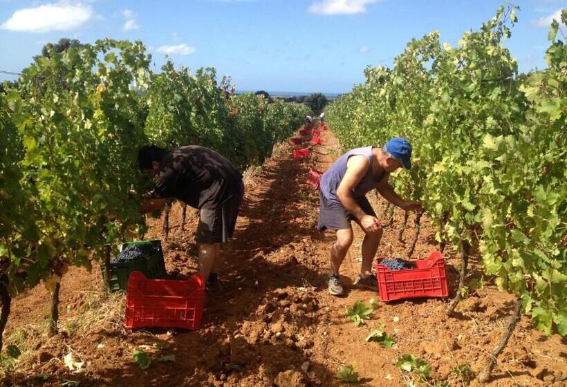 Отель La Sassetta