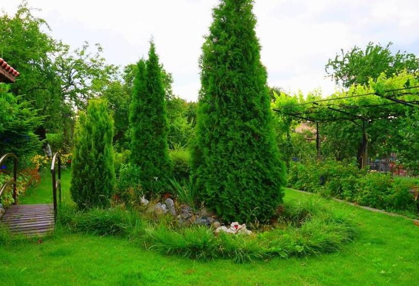 بنسيون Guest House Simona