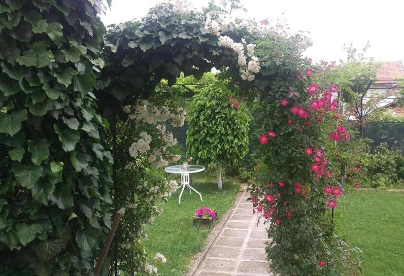 بنسيون Guest House Simona