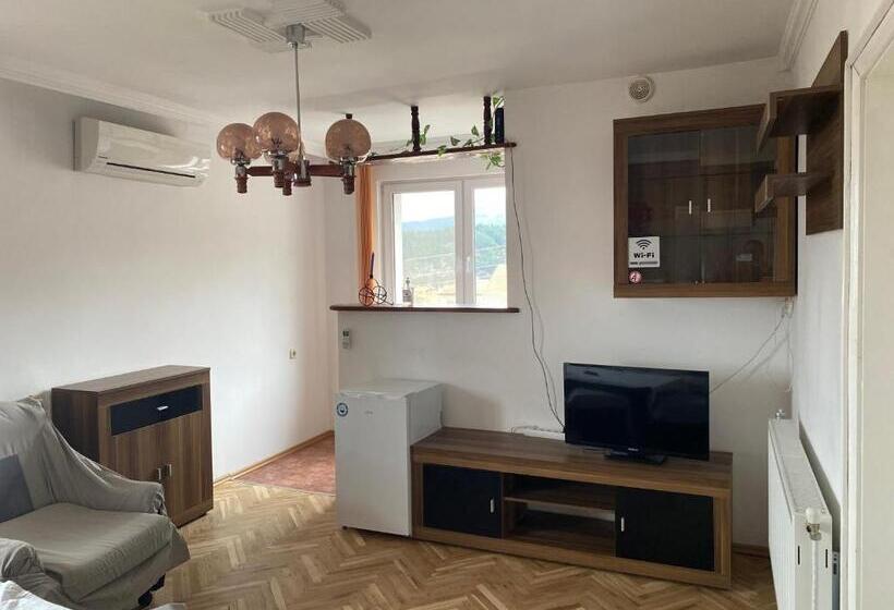 بنسيون Guest House Simona