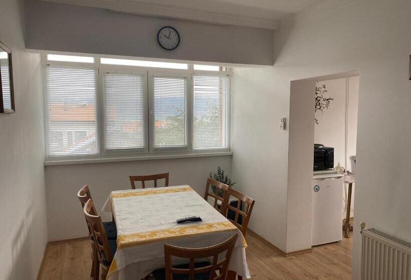 بنسيون Guest House Simona