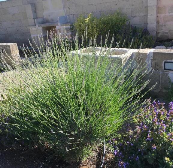 פנסיון Masseria Asteri B&b