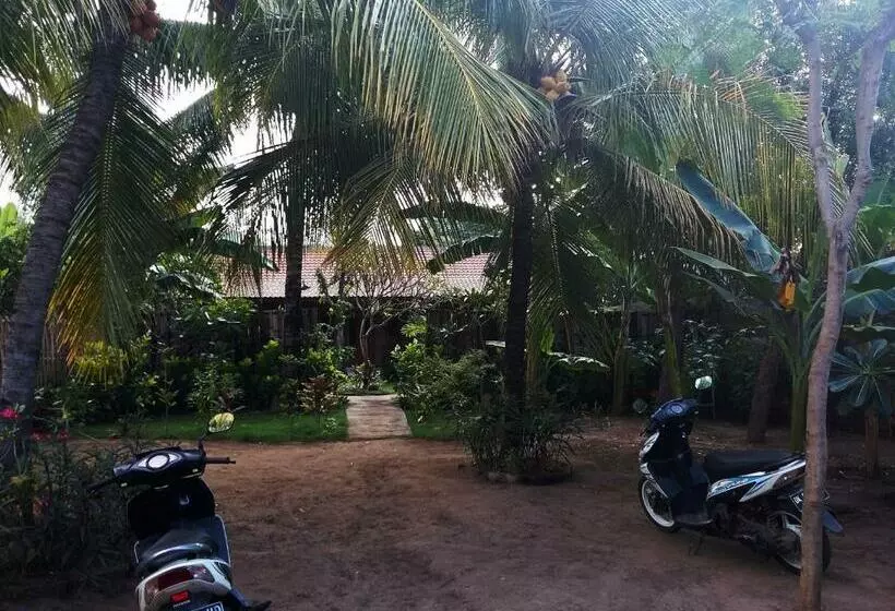 Majatalo Molleh Guest House