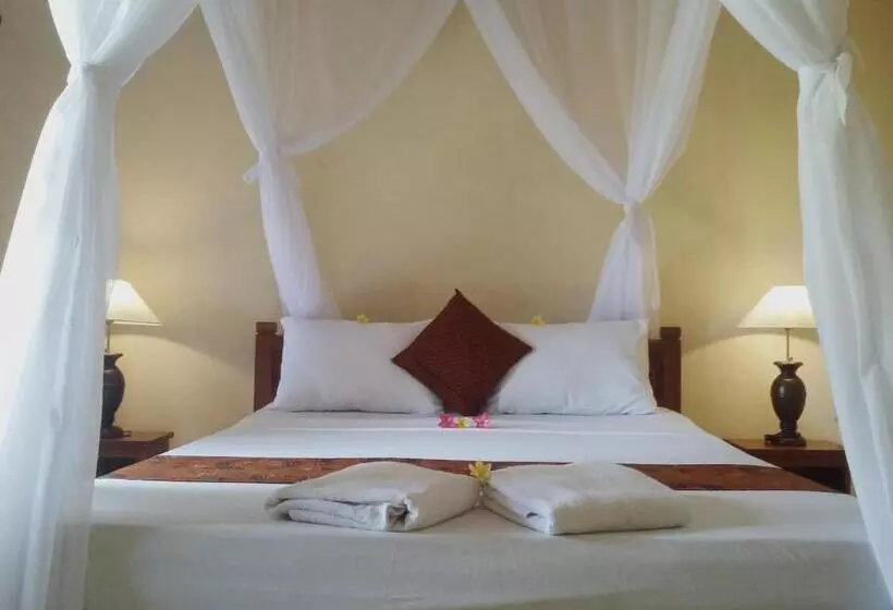 Majatalo Molleh Guest House