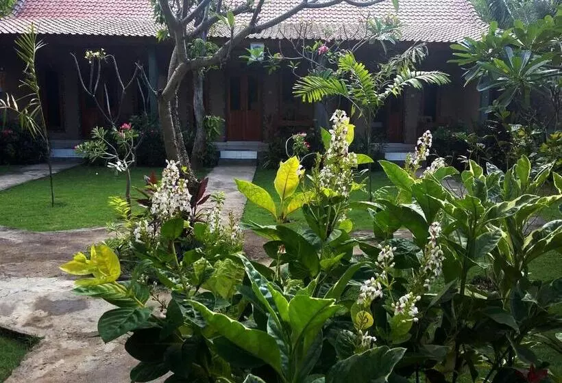 Majatalo Molleh Guest House
