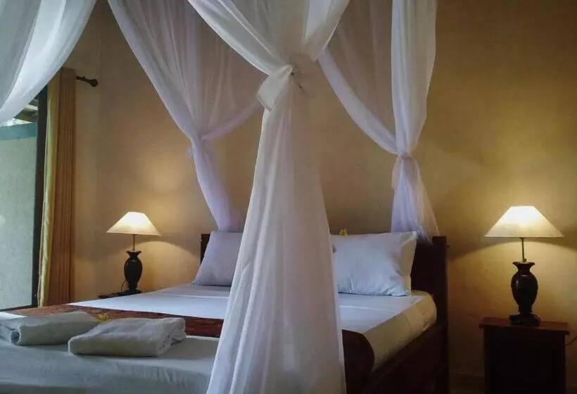 Majatalo Molleh Guest House