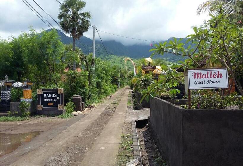 펜션 Molleh Guest House