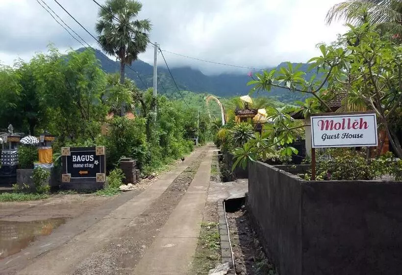 Majatalo Molleh Guest House