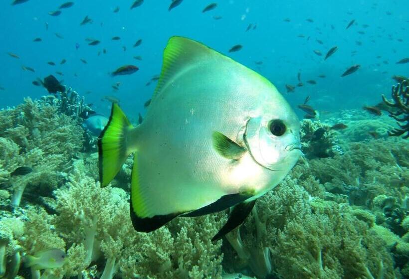 펜션 Molleh Guest House