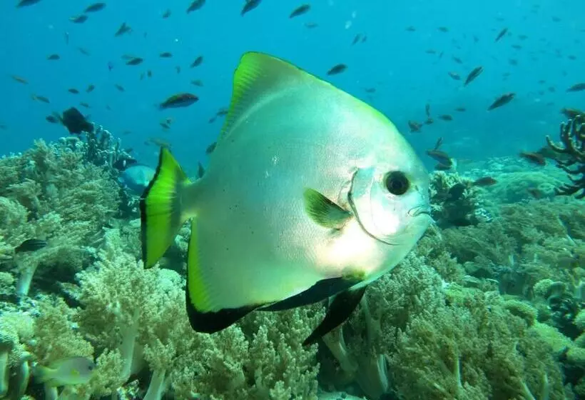 Majatalo Molleh Guest House