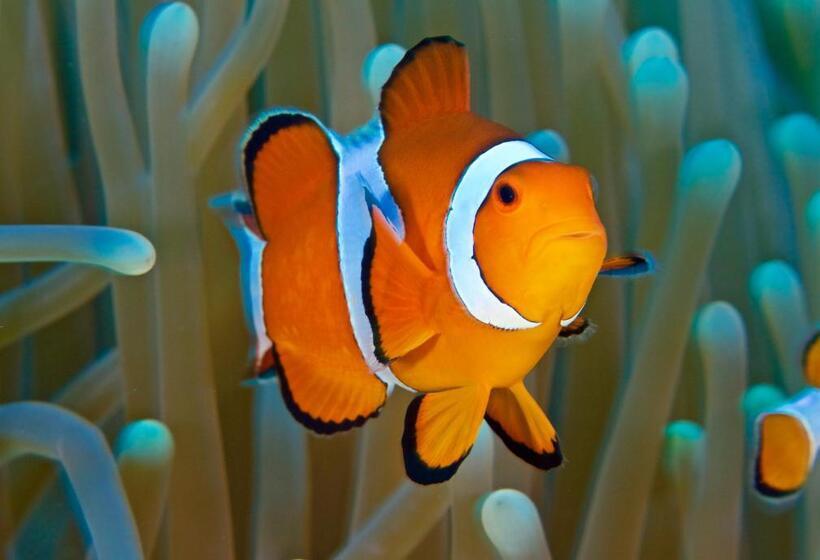 펜션 Molleh Guest House