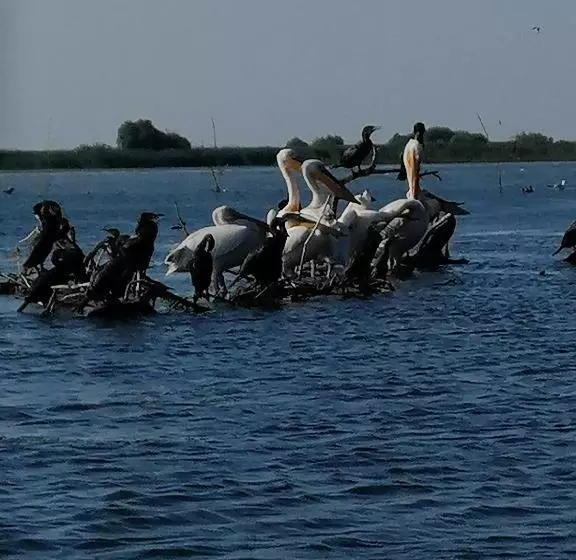 ペンション Vila Lotus