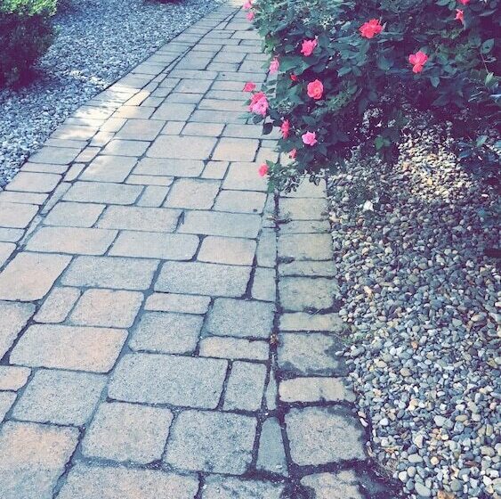 فندق Airport Waterfront Inn