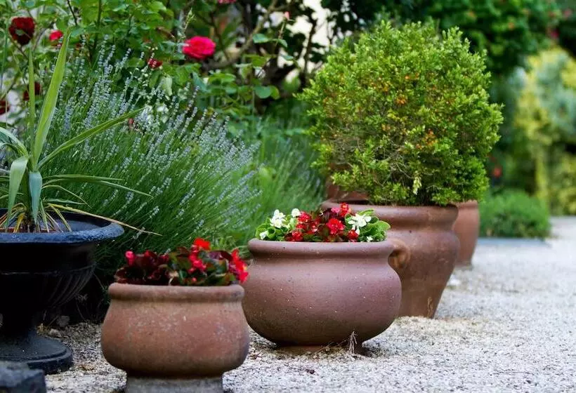 هتل Albergo Giardino