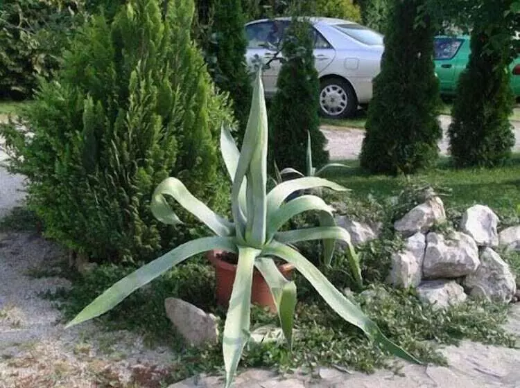 هتل Albergo Giardino