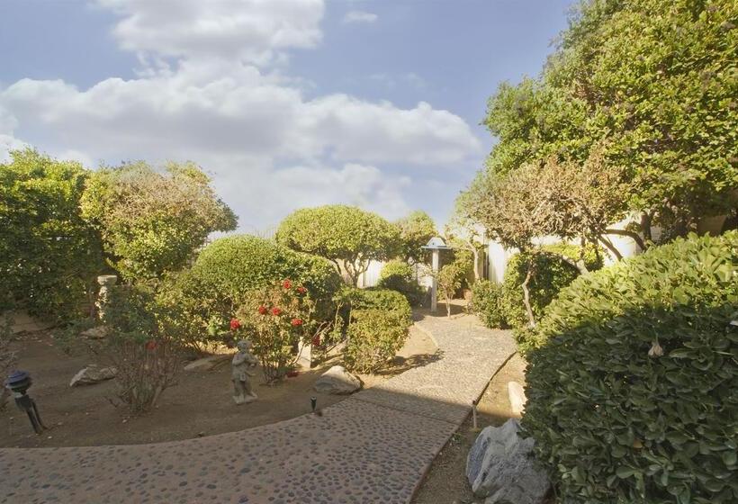 酒店 Americas Best Value Inn And Suites  Yucca Valley