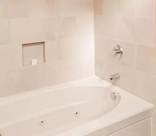 Ann Arbor Regent Hotel And Suites