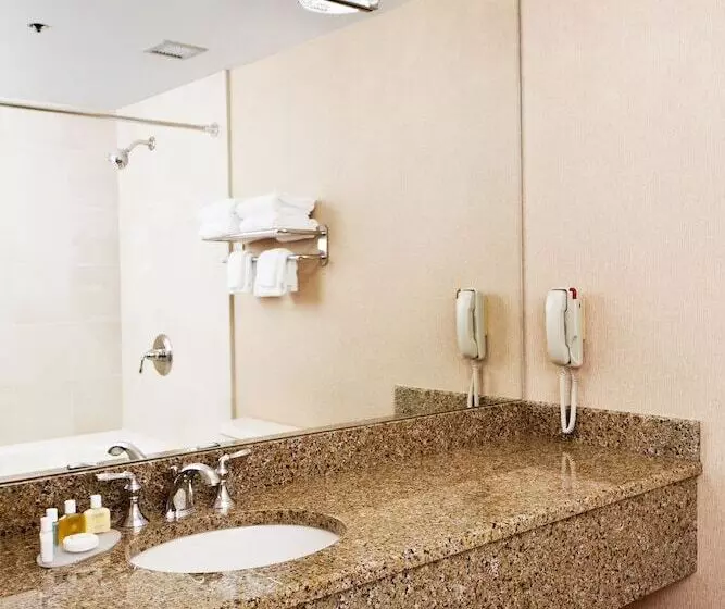 Ann Arbor Regent Hotel And Suites