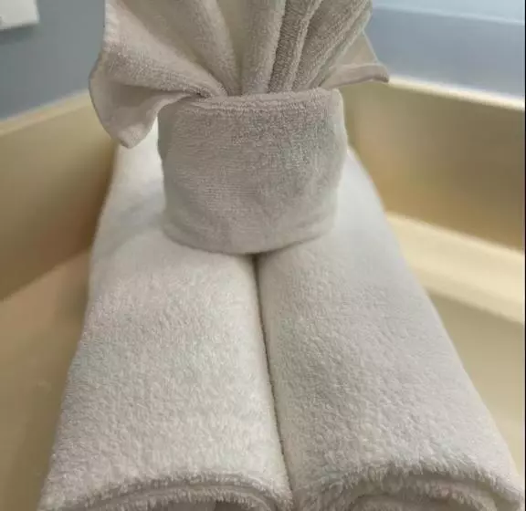 ホテル Blue Seal Inn