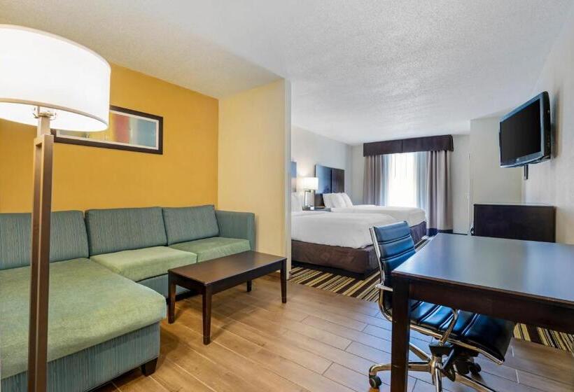 Отель Comfort Inn & Suites