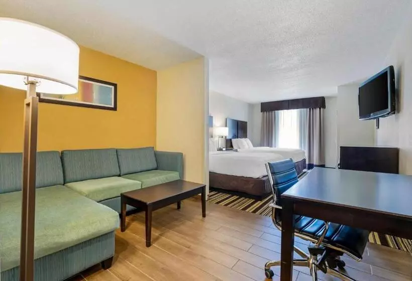 酒店 Comfort Inn & Suites