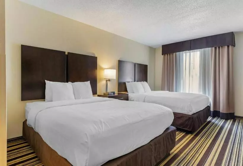 酒店 Comfort Inn & Suites