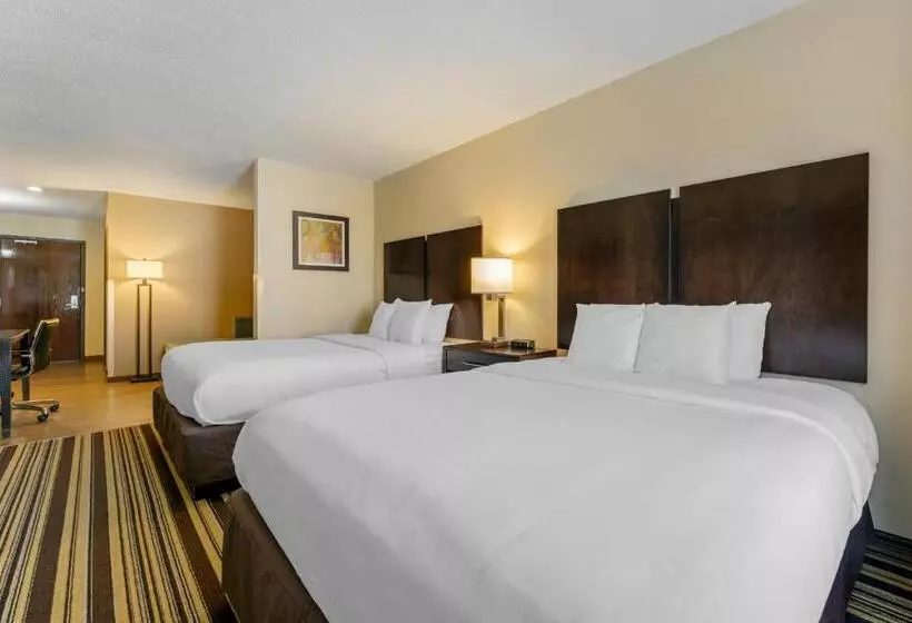 酒店 Comfort Inn & Suites