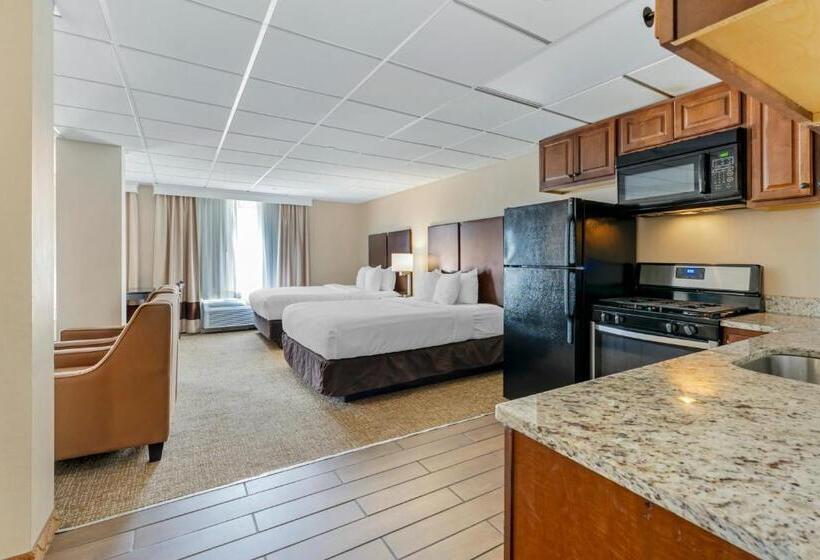 Отель Comfort Inn & Suites