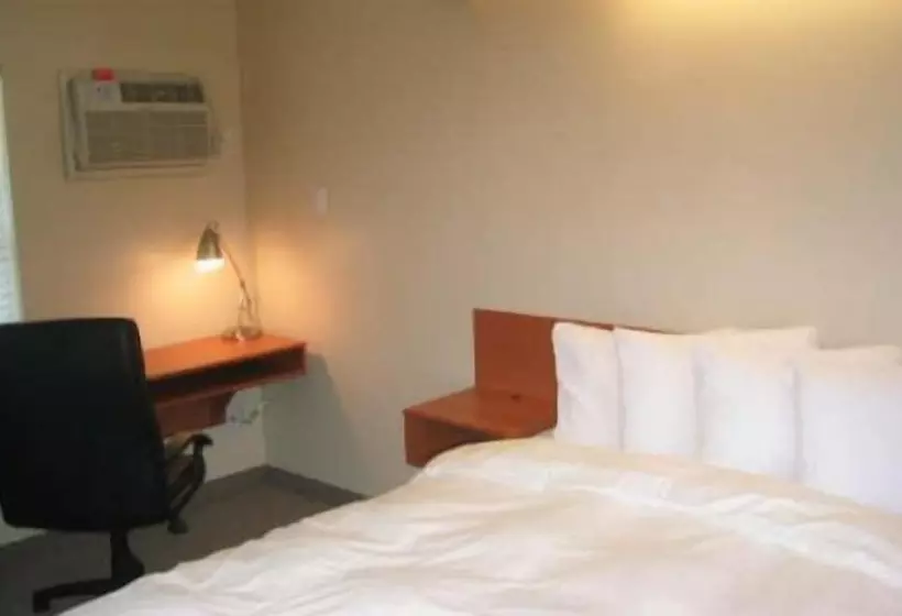 Haven Hotel   Fort Lauderdale Airport & Cruise Port