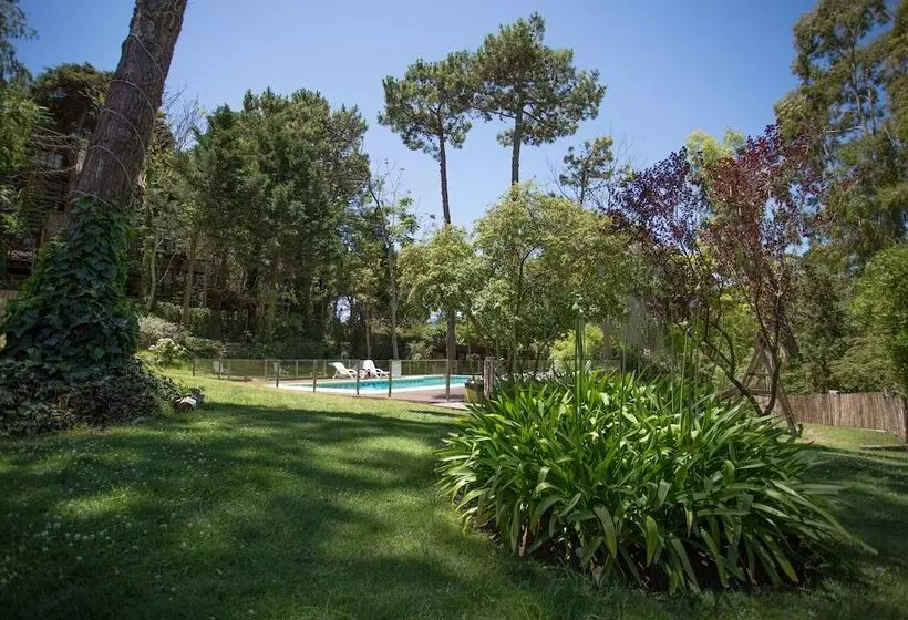 Hotelli Posada Del Bosque By Hs