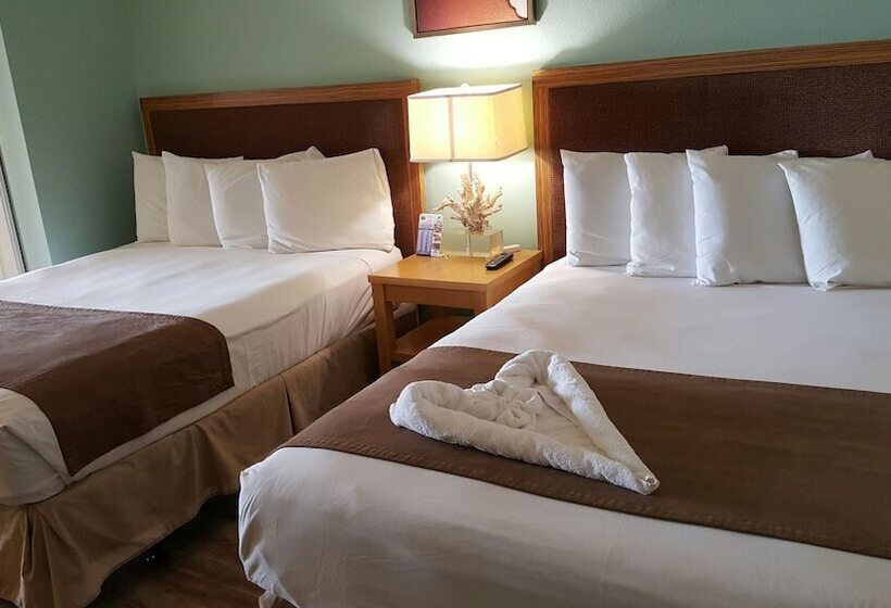 ホテル The Beachview Inn Clearwater Beach