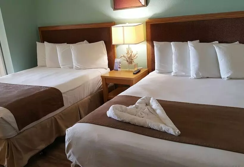 Отель The Beachview Inn Clearwater Beach