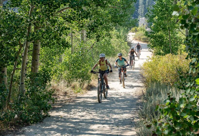 فندق The Incline Lodge