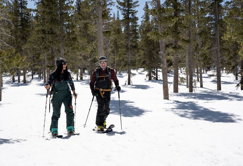 فندق The Incline Lodge