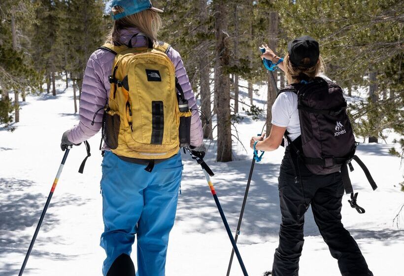 فندق The Incline Lodge