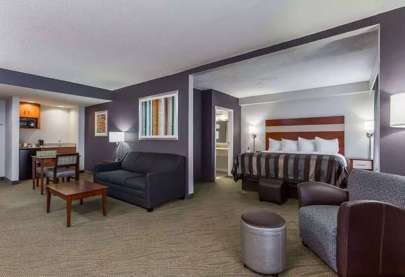 酒店 Wingate By Wyndham Chesapeake