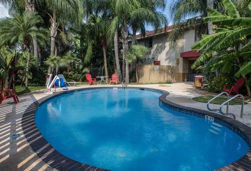 מוטל Red Roof Inn Pharr Mcallen