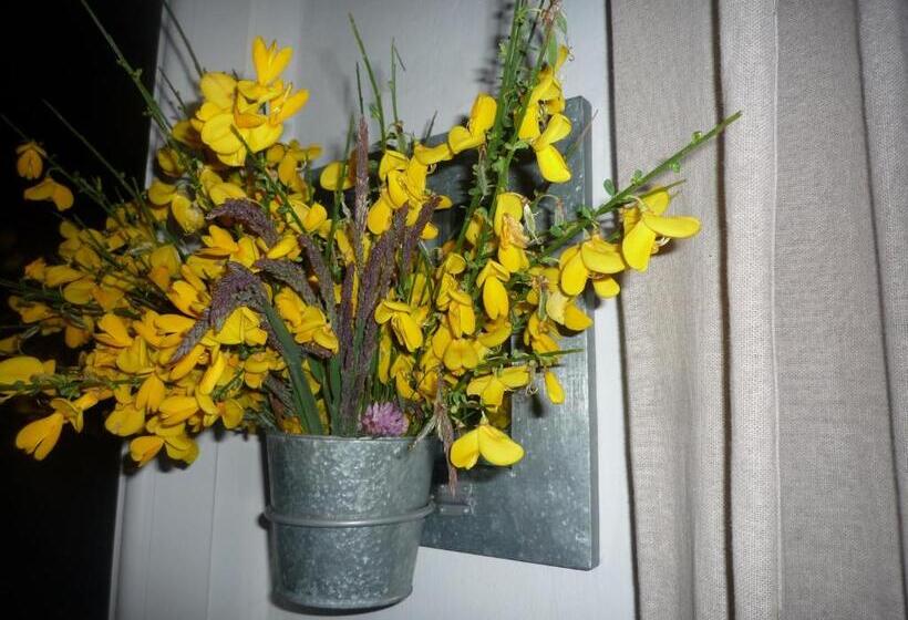 مبيت وإفطار La Maison De Lili