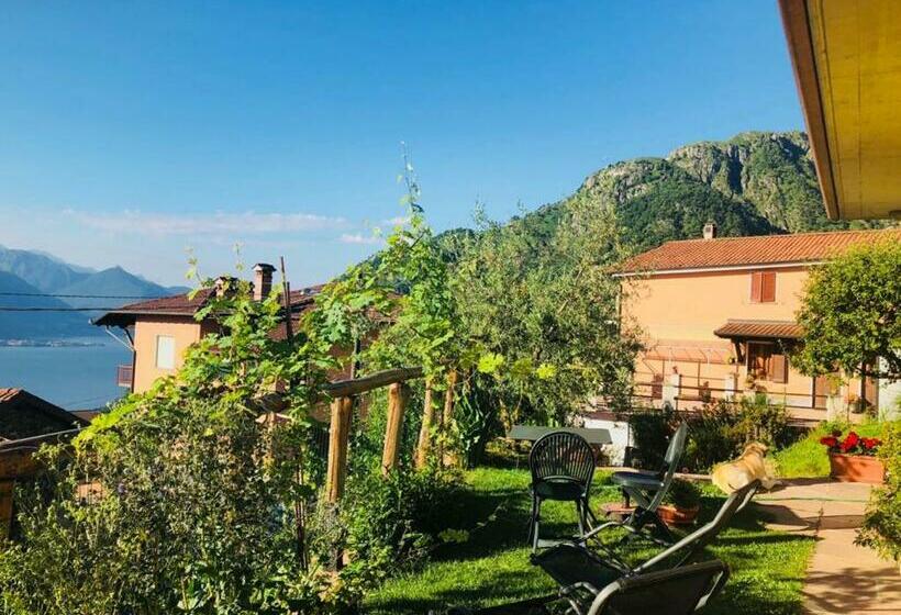 בית מלון כפרי Agriturismo Botton D Oro