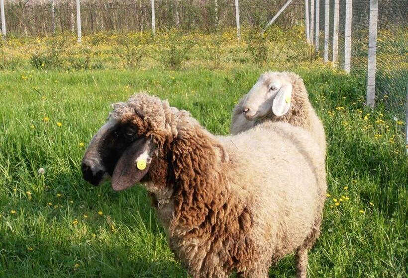 בית מלון כפרי Agriturismo La Casetta