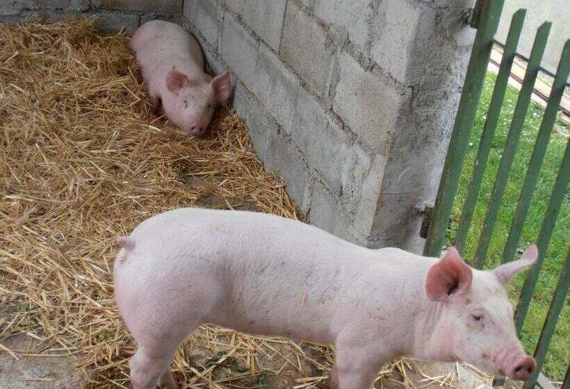 בית מלון כפרי Agriturismo La Casetta