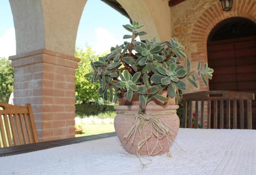 هتل Agriturismo Poggio Della Rosa