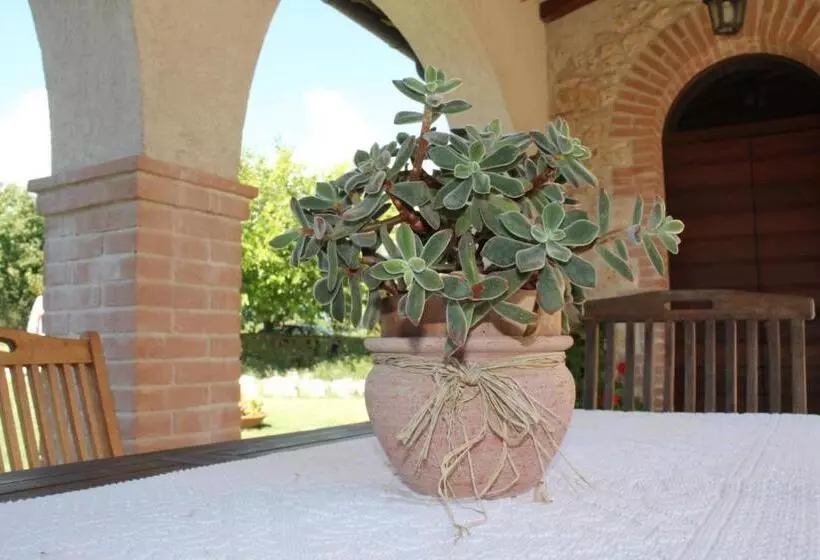 ホテル Agriturismo Poggio Della Rosa