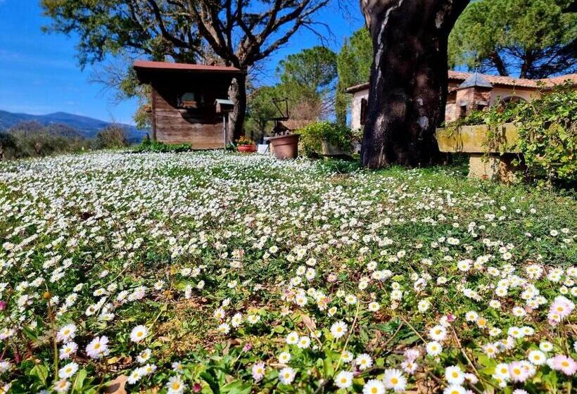 Отель Agriturismo Poggio La Buca