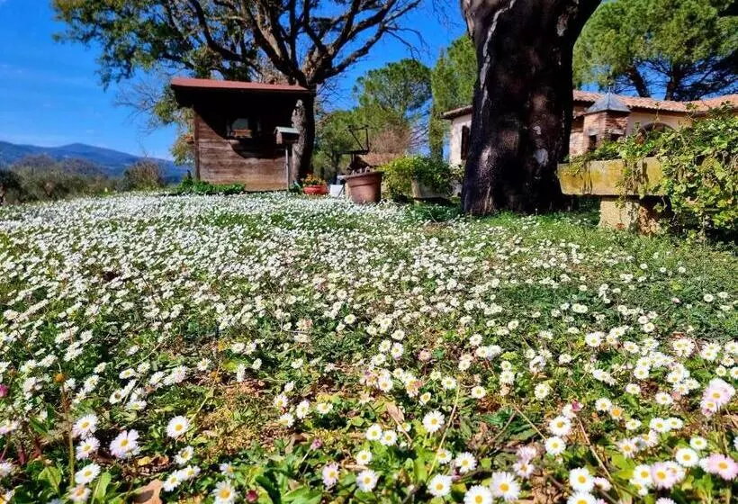 Hotelli Agriturismo Poggio La Buca