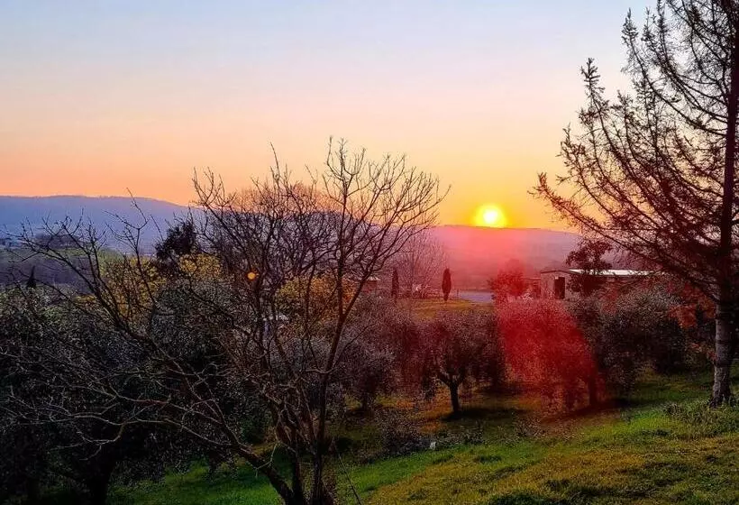 Hotelli Agriturismo Poggio La Buca