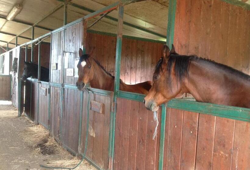 Отель Agriturismo Poggio La Buca