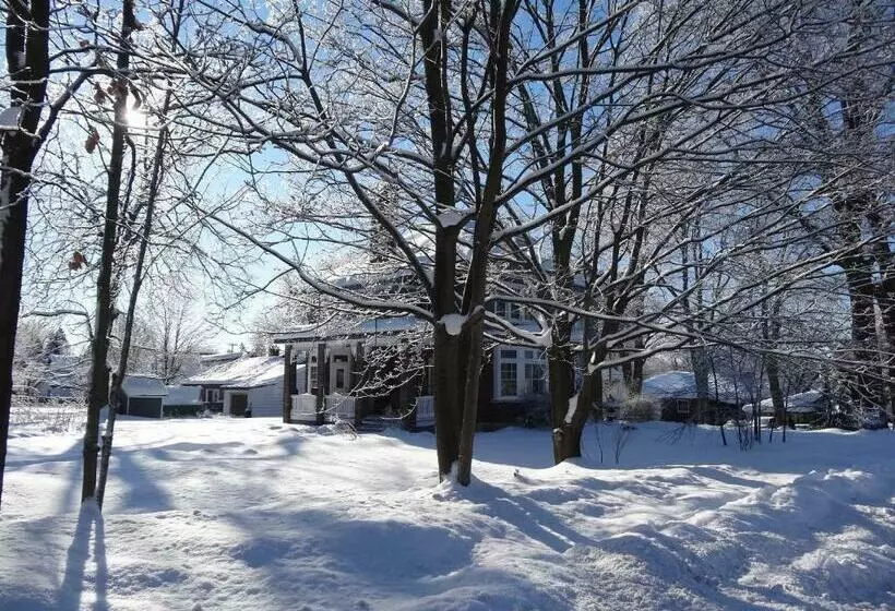 The Captain S House Heritage Bed & Breakfast