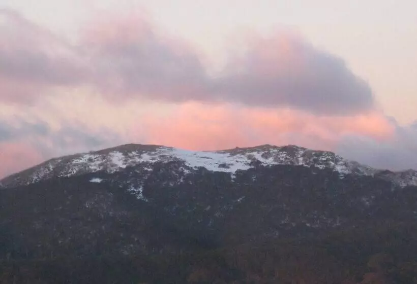 モーテル Ski Club Of Victoria   Ivor Whittaker Lodge