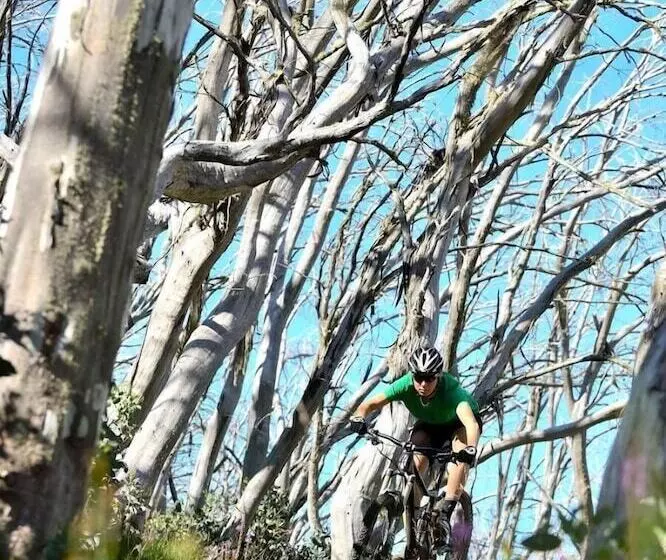 モーテル Ski Club Of Victoria   Ivor Whittaker Lodge